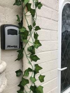 Dolphin Retreat close to Beaches and Harbour