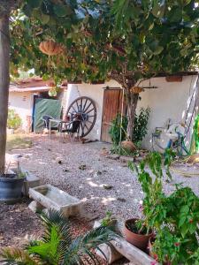 Appartements Allotjament rural Cal Xato : photos des chambres