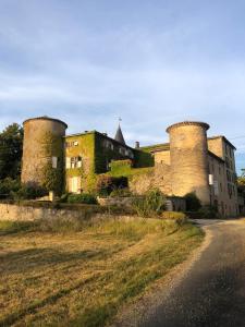 B&B / Chambres d'hotes Chateau de Montcuquet : photos des chambres