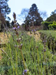 Our Place-at-Notties Self-contained 2-Bed unit in Notties