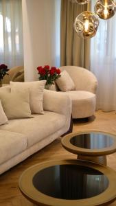 Sunshine of Montenegro - Luxury