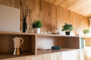 Unique Lipno Apartment