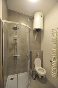 Old Town Sky Apartment