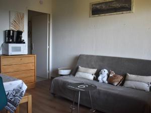 Appartements Studio Font-Romeu-Odeillo-Via, 1 piece, 4 personnes - FR-1-580-72 : photos des chambres