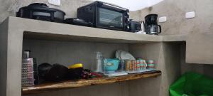 Selva Linda Lodge jungle wildlife vue and birdwatching