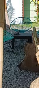 Selva Linda Lodge jungle wildlife vue and birdwatching