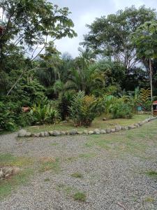 Selva Linda Lodge jungle wildlife vue and birdwatching