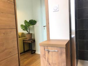 Appartements Suite Monstera by Welk'Home Inn - Appartement Premium - Troyes Centre : photos des chambres