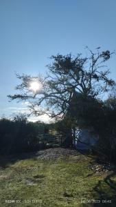 Don Cleto "La Mimosa"