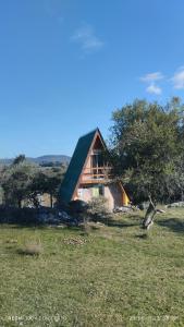 Don Cleto "La Mimosa"