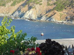Bel Mare Evia Greece