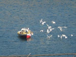 Bel Mare Evia Greece
