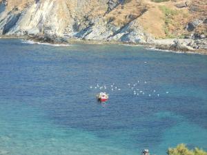 Bel Mare Evia Greece