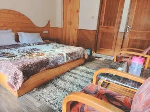 Hotel Hadimba Regency ! Free 4 Wheeler Parking ! Mountain View rooms ! Near Mall road Manali - Kyelang