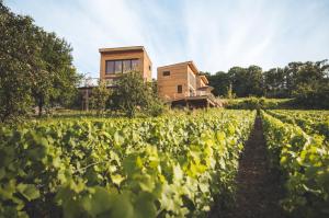 Maisons d'hotes COTTAGES ANTOINETTE : photos des chambres