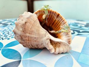 FronteMare - elegante appartamento sul lungomare con Wi-Fi, parking e bici