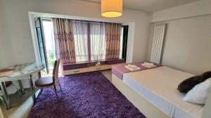 Ris studio dublu universitate, centrul vechi