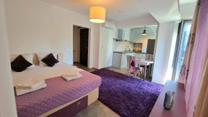 Ris studio dublu universitate, centrul vechi