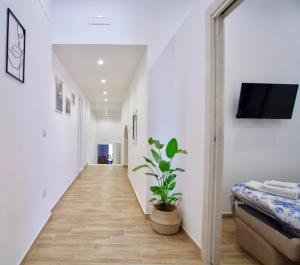 Amabile casa vacanze