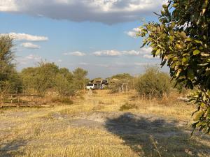 Mababe River Campsite