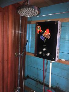 Orangutan Houseboat Park Tanjung Puting