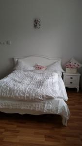 Central appartment - heart of Bucharest - sector 1 - new renovated - open space