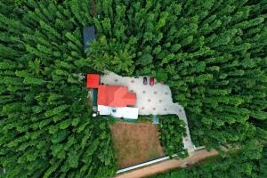 Hazel Retreat - Full Home & Coffee Estate