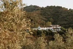 El Paraíso Perdido - Colmenar