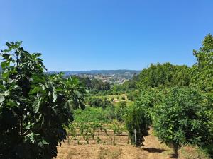 Quinta de Carcavelos Agroturismo e Enoturismo