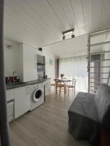 LE PICANAIS - 圣马洛