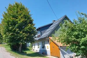 Zeleni brig - Sunger