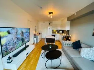 Modern and comfortable apartment - Lorenskog