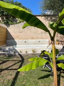 Appartements Appart-Hotel Residence de Garonne : photos des chambres
