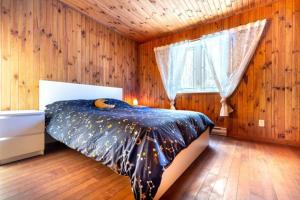 Chalet in a dark sky reserve