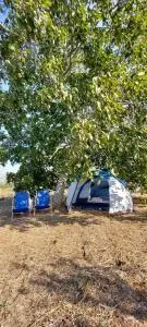 Camping Paradiso - Giuggianello