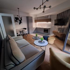 RINES Apartment