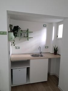 Discover Donatello - Vasco