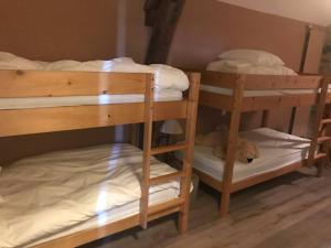 Appartements Le gite familial - Cabernet : photos des chambres