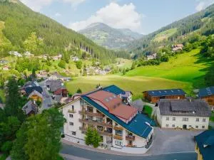 Ferienapartments Müller - 霍赫林德