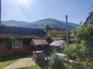 Borgaza - 伊万诺-弗兰科夫斯克