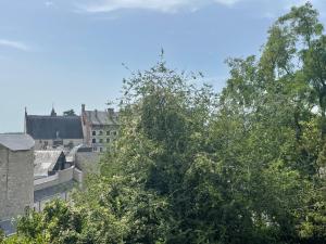 B&B / Chambres d'hotes Clos des Minimes : photos des chambres