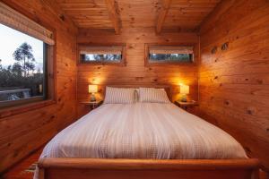 Cabañas Bosques de Puertecillo