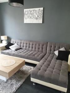 Les falaises d Etretat Etretat hypercentre duplex 50m de la mer & parking