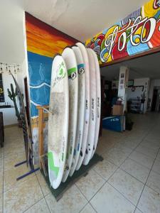 Totora Surf Hostel