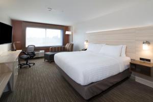 Standard King Room room in Holiday Inn Express Hotel & Suites Grand Blanc an IHG Hotel