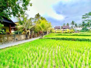 Dupa Ubud