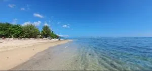 Tuatahi Beach Lodge - Aoua