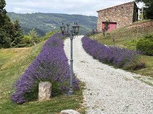 Chalets La bergerie : photos des chambres