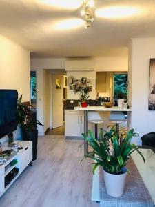 Bel appartement - 50m2 à 7 minutes du centre au calme