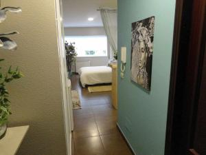 La Ruta de las luces de Vigo